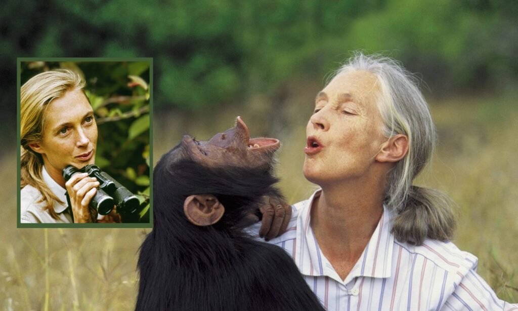 Jane Goodall FNGN