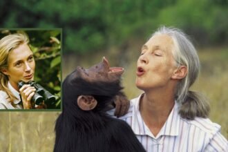 Jane Goodall FNGN