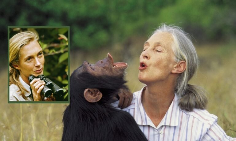 Jane Goodall FNGN