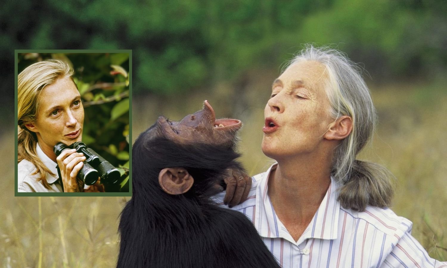 Jane Goodall FNGN