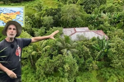 Regenerative living in Borneo – garden forest ecosystem in rural Sabah