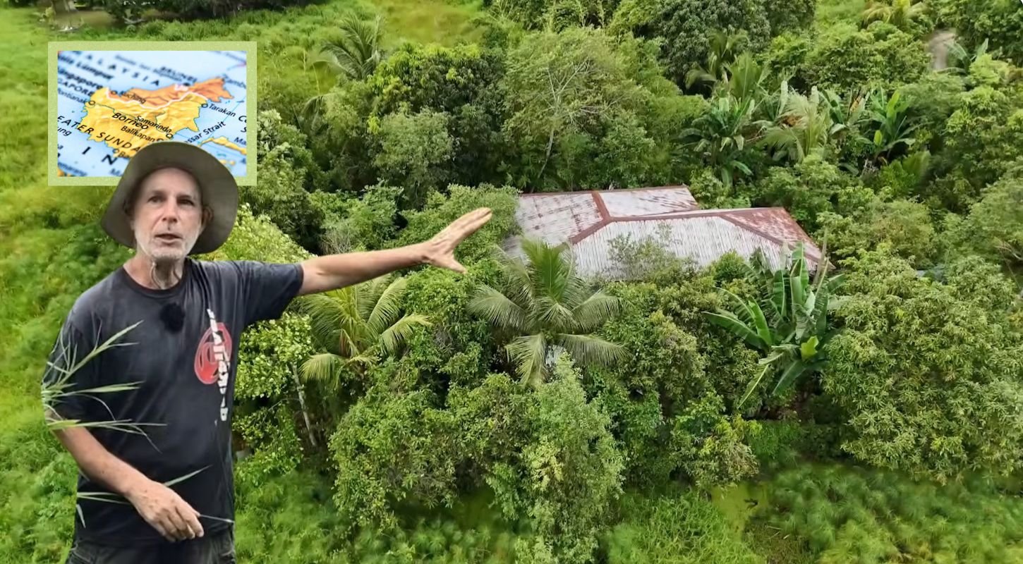 Regenerative living in Borneo – garden forest ecosystem in rural Sabah
