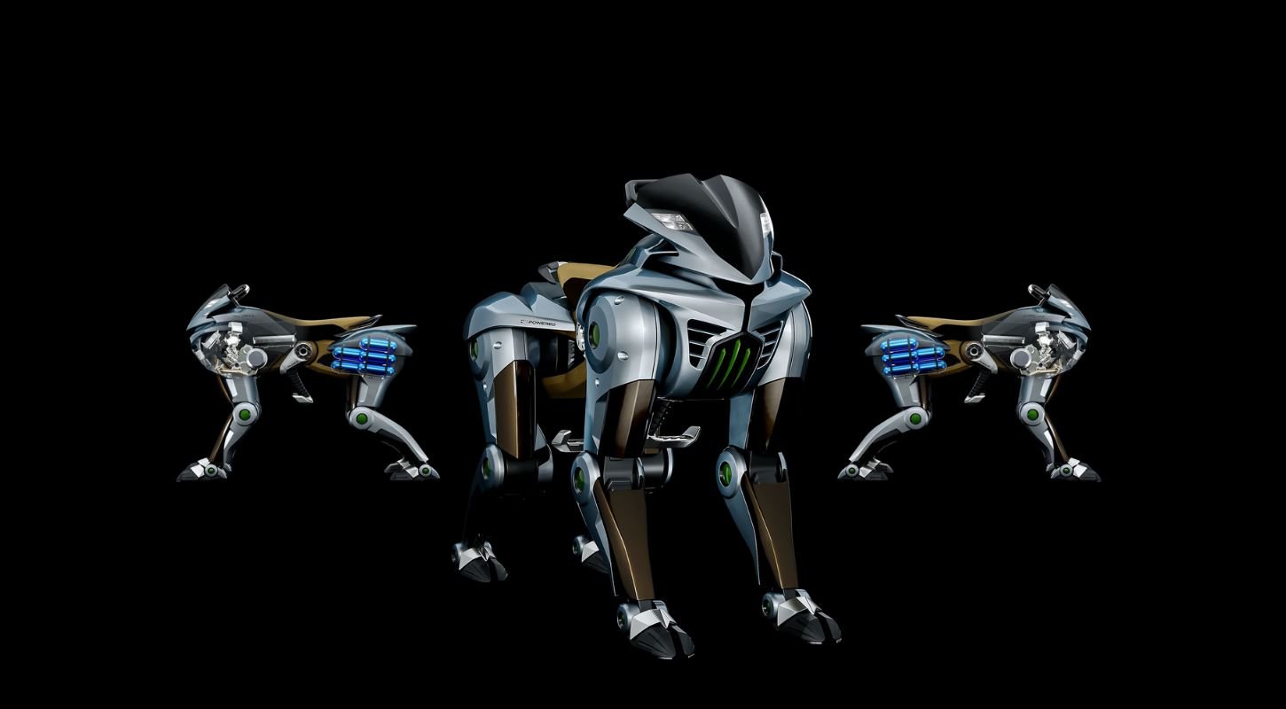 Kawasaki CORLEO FNGN